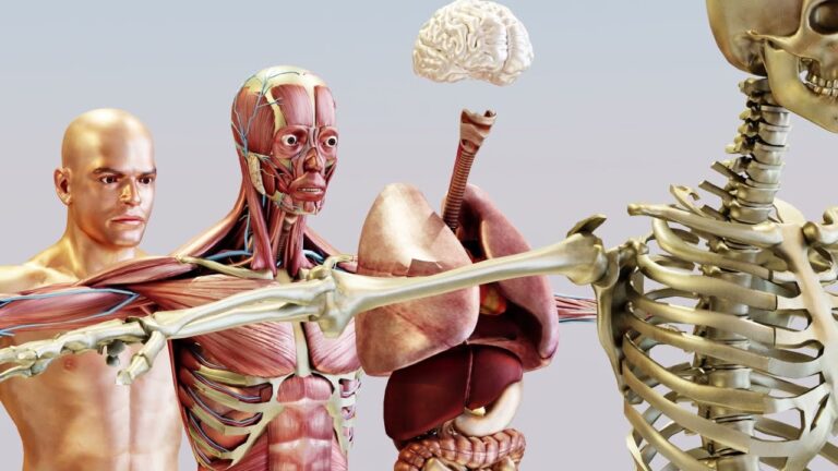 Conoce la ciencia que estudia el movimiento del cuerpo humano - Edukar