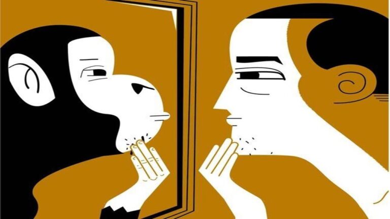 Diferencias entre seres humanos y animales - Edukar